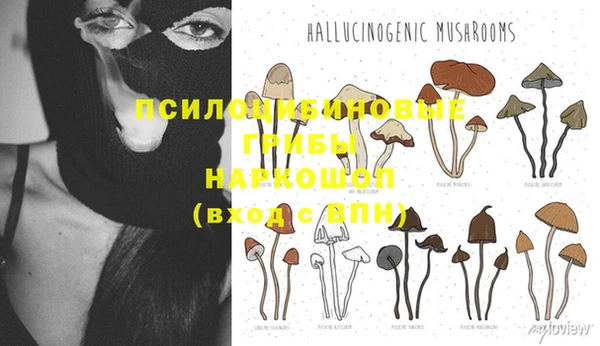 винт Михайловка