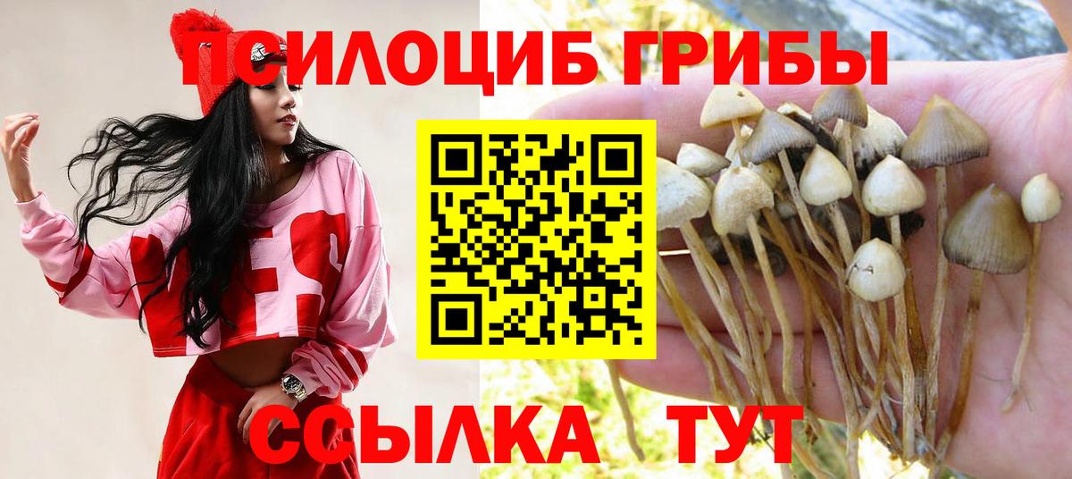 Галлюциногенные грибы Psilocybine cubensis Черемхово
